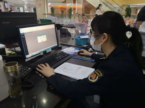 互联网政务服务 城市管理服务便民新篇章