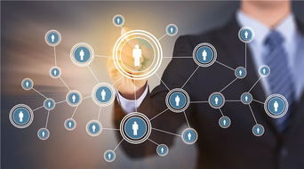 甬上乐业 聚焦民生热点，互联网信息服务引领新生活